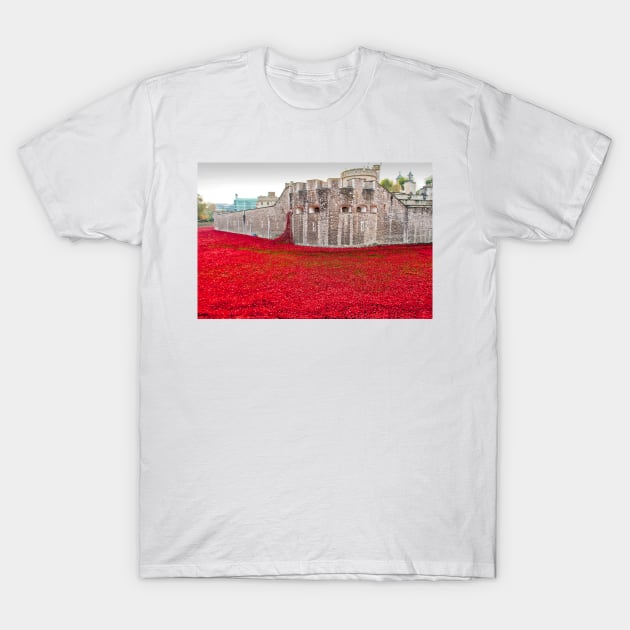 Tower of London Red Poppies T-Shirt by AndyEvansPhotos